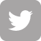 Logo twitter